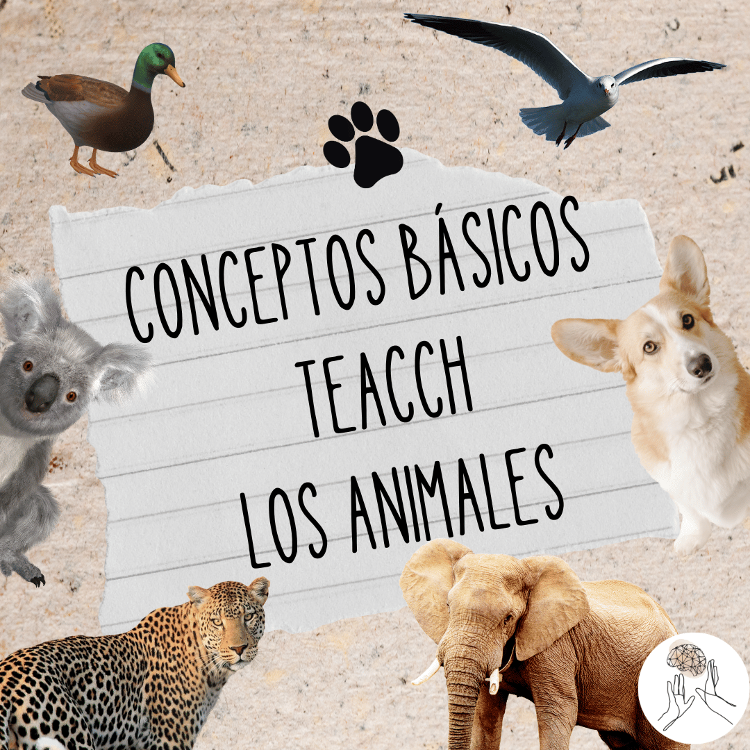 Conceptos basicos teacch los animales