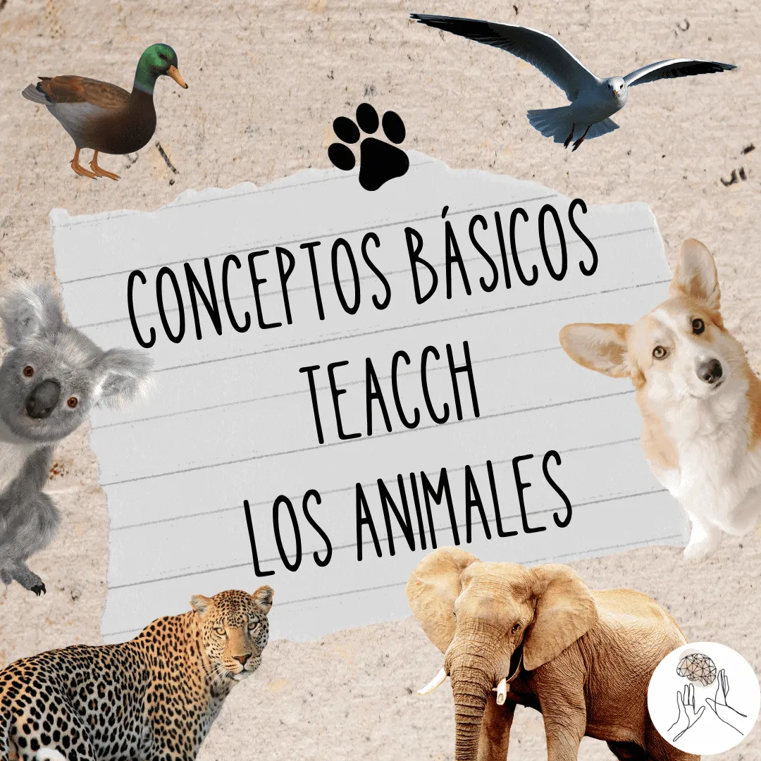 Conceptos basicos teacch los animales