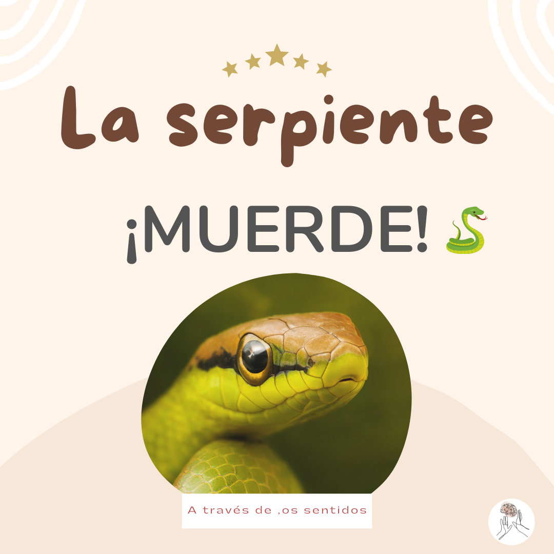 Copia de vocabulario 1