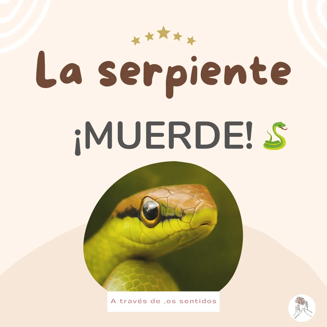 Copia de vocabulario 1