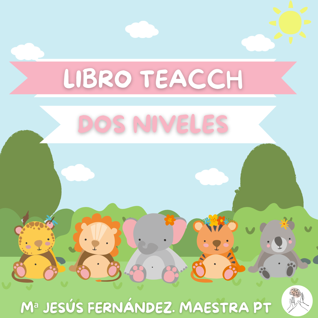 Libro teacch