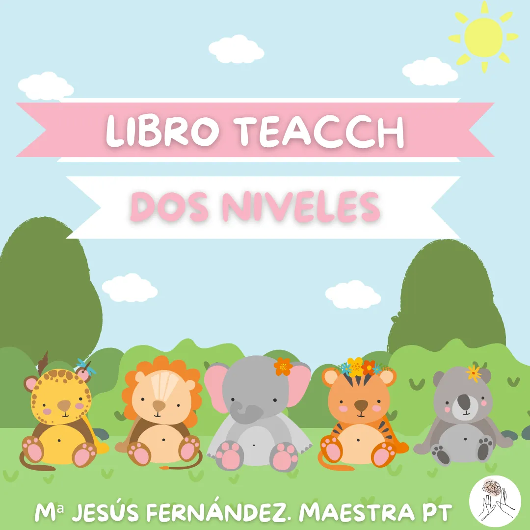 Libro teacch