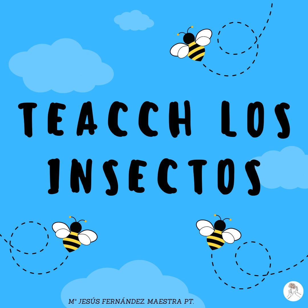 Teacch los insectos