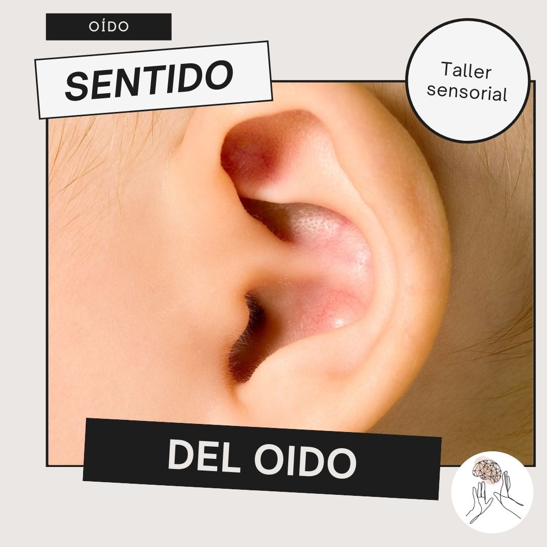 Taller sensorial oido