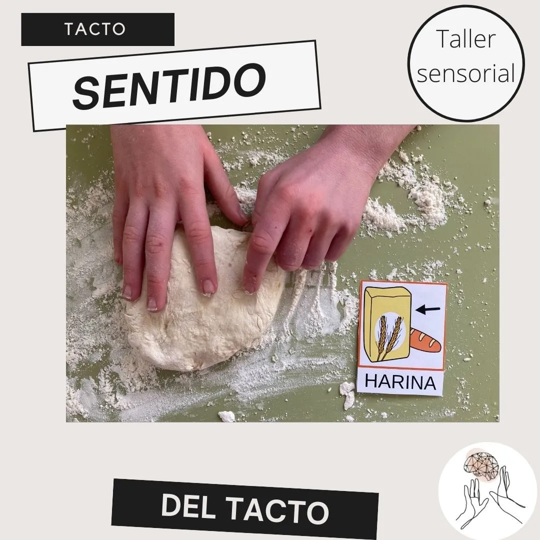 material multisensorial