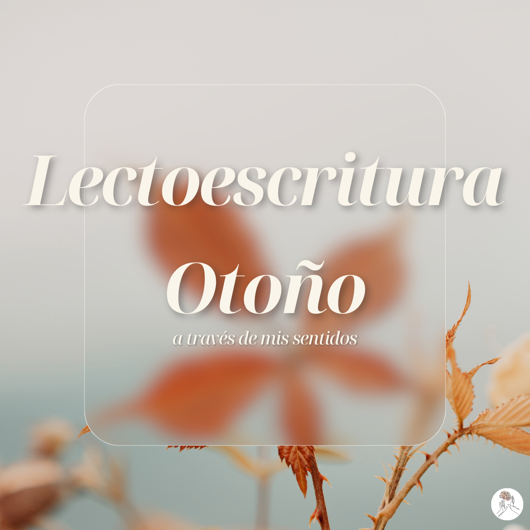 A traves de mis sentidos